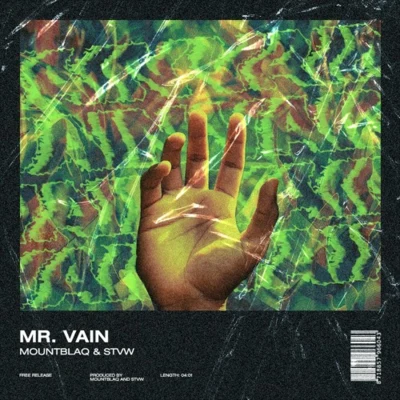 Mr. Vain (STVW & Mountblaq Festival Edit) 專輯 STVW/hackeDJackerz