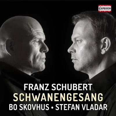 Bo SkovhusWiener PhilharmonikerNikolaus Harnoncourt SCHUBERT, F.: Schwanengesang (Skovhus, Vladar)