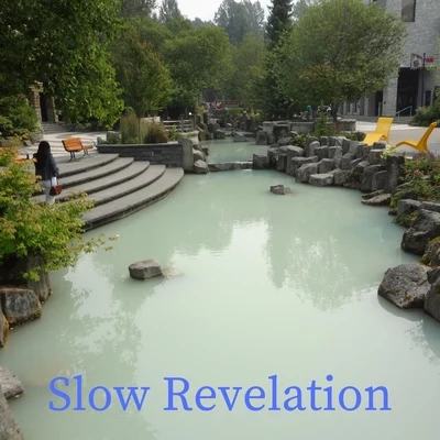 Slow Revelation 專輯 Steve Martin