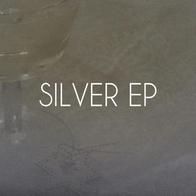 Martin Eyerer Silver EP