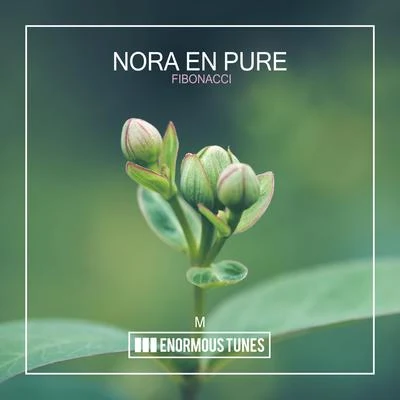 Fibonacci 專輯 Nora En Pure