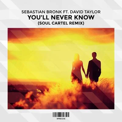 David TaylorPaul PolivnickGlen CorteseEric EwazenJessica ZhouInternational Sejong Soloists Youll Never Know (Soul Cartel Remix) [feat. David Taylor]