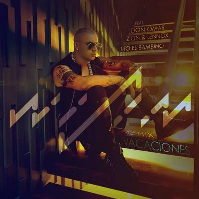 Vacaciones (Remix) 专辑 Gadiel/Wisin