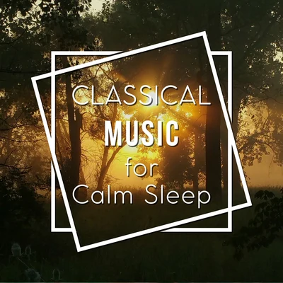 Classical Music for Calm Sleep – Rest with Tchaikovsky, Calm Your Mind, Peaceful Note 专辑 Villa Musica Ensemble/Classical Music Songs/Leonard Hokanson