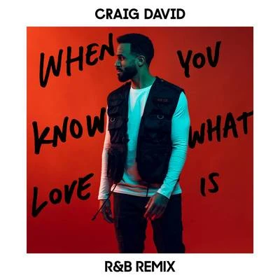 When You Know What Love Is (R&B Remix) 專輯 Ripstar/Craig David