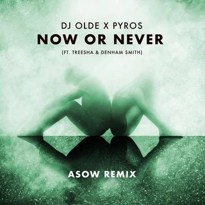 Now or Never (feat. Treesha & Denham Smith) [Asow Remix] 專輯 Denham Smith