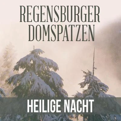 Heilige Nacht 專輯 Consortium musicum München/Hanna Farinelli/Heiner Hopfner/Birgit Calm/Nikolaus Hillebrand