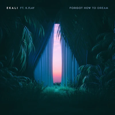 Forgot How To Dream 专辑 K.Flay