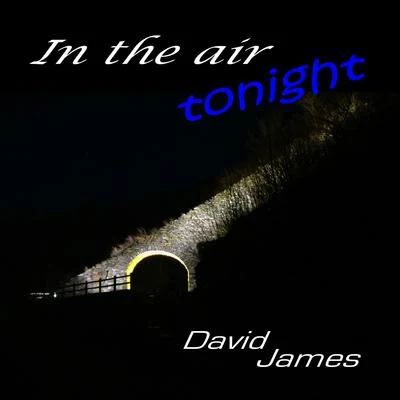 In the Air Tonight (Instrumental) 专辑 David James