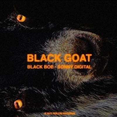 The Black Goat 專輯 Finding Novyon/Sonny Digital