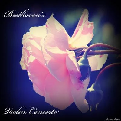 Violin Concerto in D major, Op. 61 專輯 Beethoven