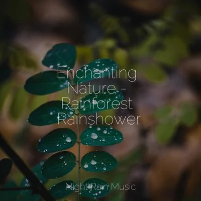 Enchanting Nature - Rainforest Rainshower 专辑 Namaste Yoga