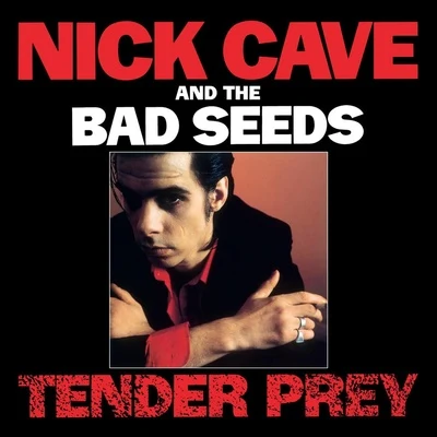 Tender Prey 專輯 Nick Cave & the Bad Seeds