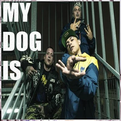 My Dog Is 專輯 C.Terrible/Bigla/ToteKing