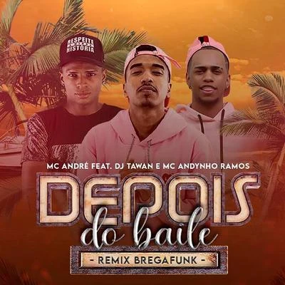 Depois do Baile (Remix Brega Funk) 專輯 Mc André