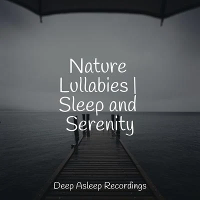 Calm ShoresNative American FluteMassage Nature Lullabies | Sleep and Serenity