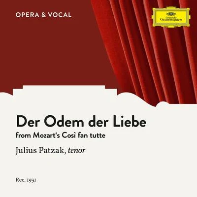 Julius PatzakEmmy LooseAlfred PoellAugust JareschKarl DönchClemens KraussWiener PhilharmonikerStefii LeverenzKurt PregerHilde Zadek Mozart: Così fan tutte: Der Odem der Liebe