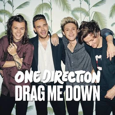 One DirectionBritney Spears Drag Me Down