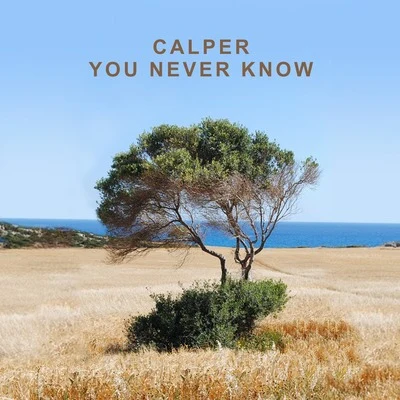 You Never Know 專輯 Calper/Vince Kidd