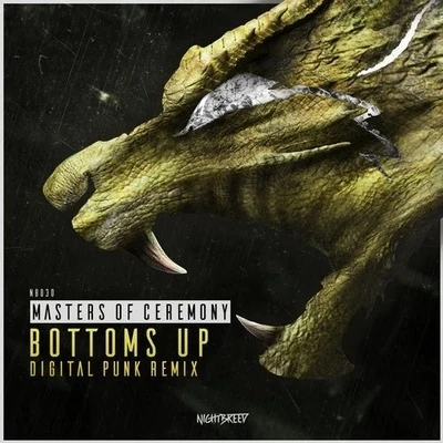 Bottoms Up (Digital Punk Remix) 專輯 Digital Punk/Crypsis