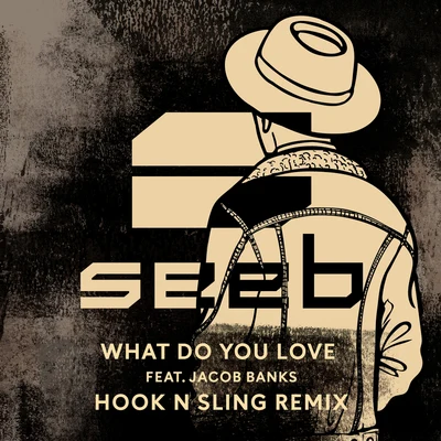 SeebMike Posner What Do You Love (Hook N Sling Remix)