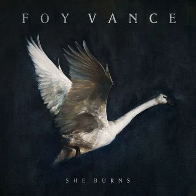 She Burns 专辑 Foy Vance