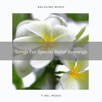 Songs For Special Relief Evenings 专辑 White Noise Relaxation