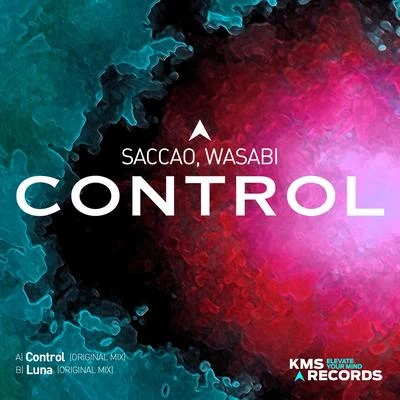 Saccao Control