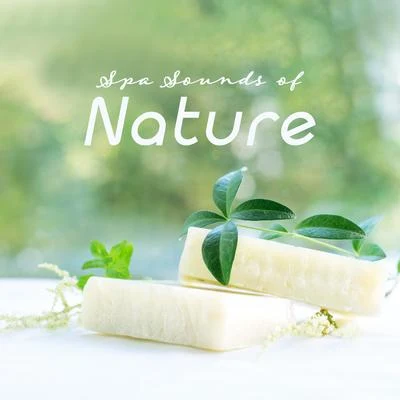 Spa Sounds of Nature: Collection of Best 2019 Nature & Piano Music for Spa & Wellness Centers, Background for Healing Treatments and Relaxing Massage 專輯 Spa Zen