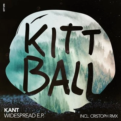 WIDESPREAD EP 專輯 KANT