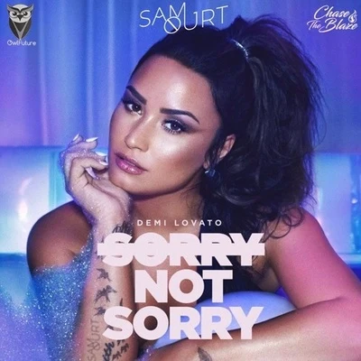 Sorry Not Sorry (Sam Ourt Remix) 專輯 AKIAL/Sam Ourt/Srikar