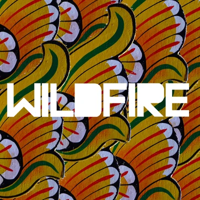 Wildfire 專輯 SBTRKT