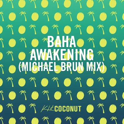 Awakening (Michael Brun Mix) 專輯 Michael Brun