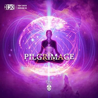 Pilgrimage 专辑 PurpleBattery