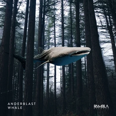 Whale 專輯 Anderblast