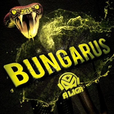 Bungarus 专辑 A Liga/Skullwell