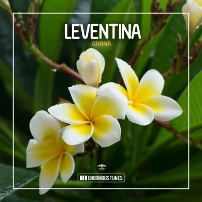 Ghana 专辑 Leventina