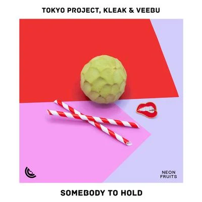 Somebody to Hold 專輯 Anna Sophia Larin/Remon/Kleak & Veebu