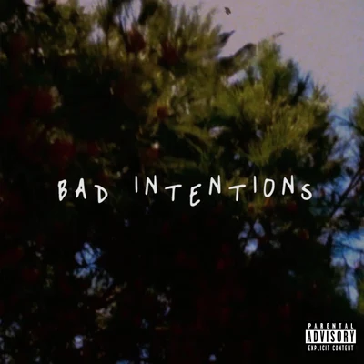 Bad Intentions 专辑 Trip Carter