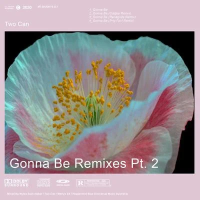 Gonna Be Remixes, Pt. 2 专辑 Two Can