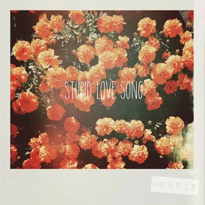 Stupid Love Song 专辑 Morrie