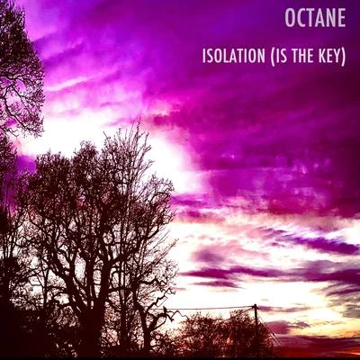 Isolation (Is The Key) 专辑 Octane/Lee Majors