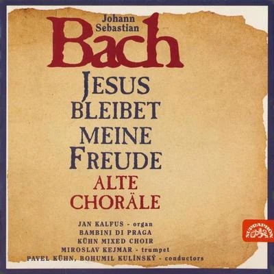 Bach: Jesus bleibet meine Freude 专辑 Miroslav Kejmar