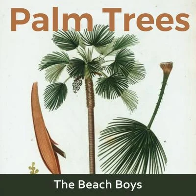 The Beach Boys Palm Trees