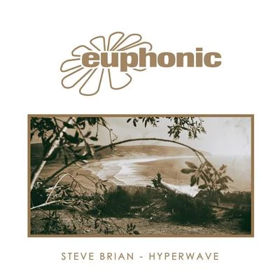 Steve Brian Hyperwave