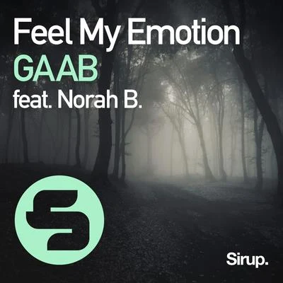 Feel My Emotion 專輯 Gaab