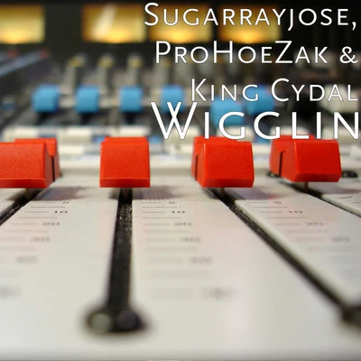 Wigglin 专辑 ProHoeZak