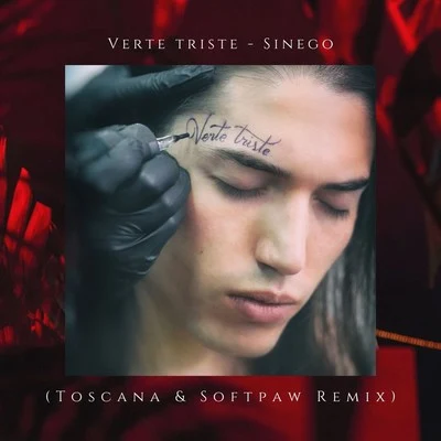 Verte Triste (Toscana & Softpaw Remix) 專輯 Sinego/Sofi Tukker/Bomba Estéreo