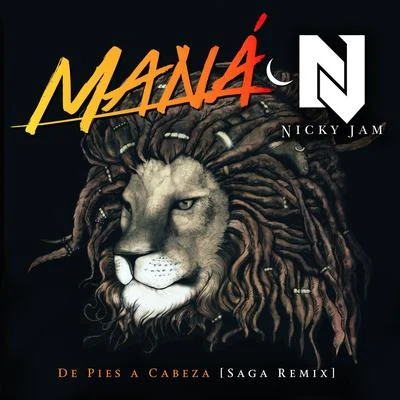 De Pies a Cabeza (Saga Remix) 專輯 Nicky Jam