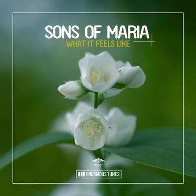 What It Feels Like 專輯 Sons Of Maria/Ben Muetsch/Freiboitar/Dbmm/Solvane